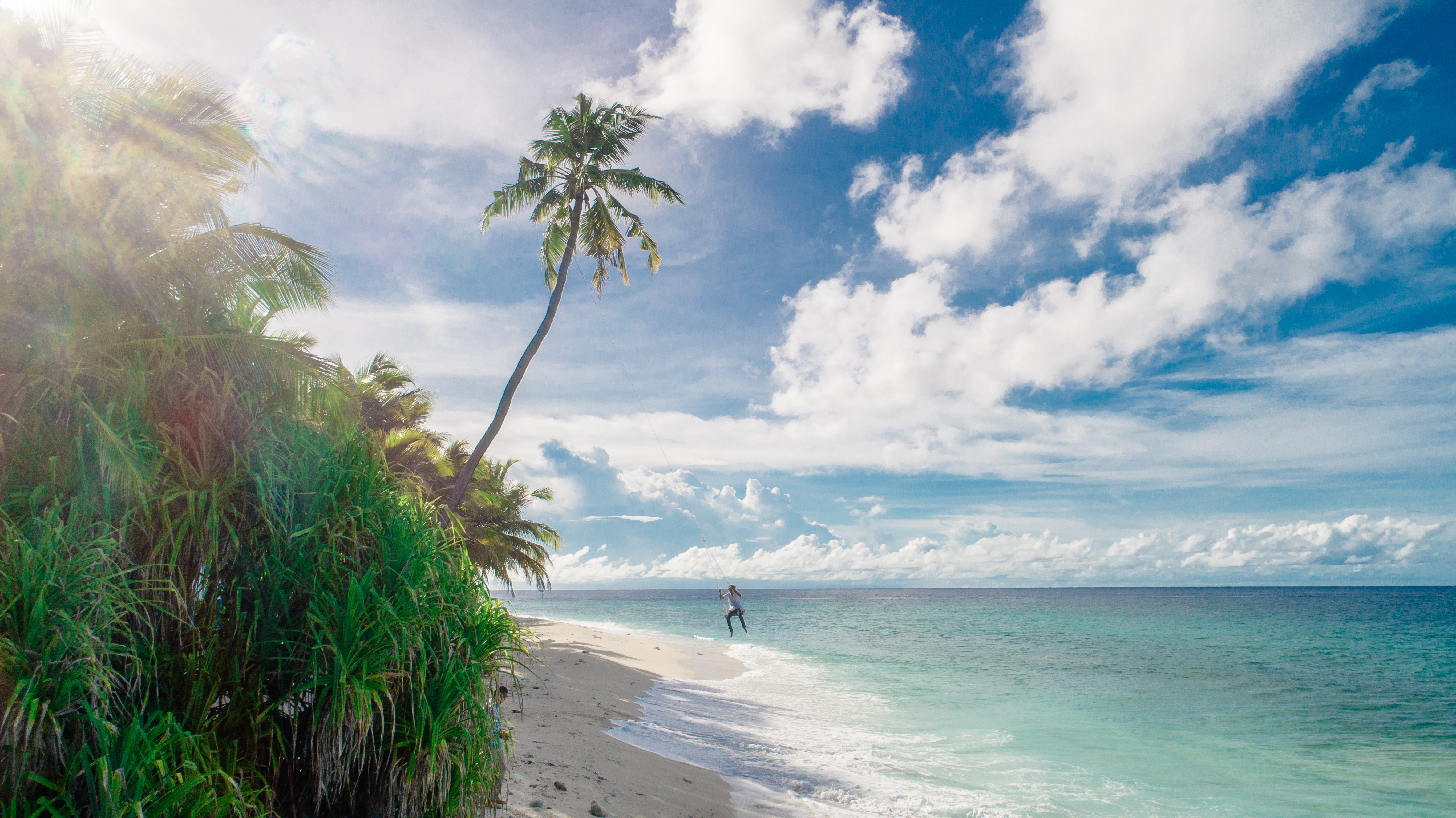 Palm Trees In The Middle Of Ocean Wallpapers