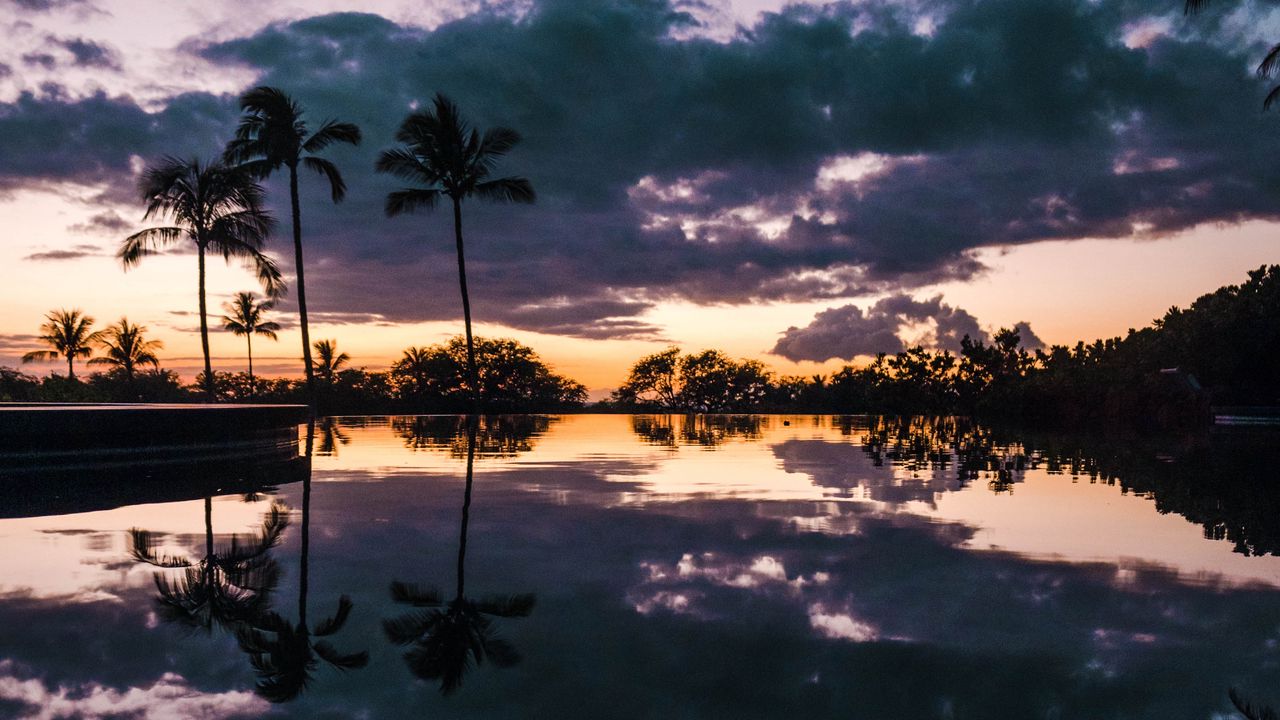 Palm Trees Reflection Sunset Wallpapers