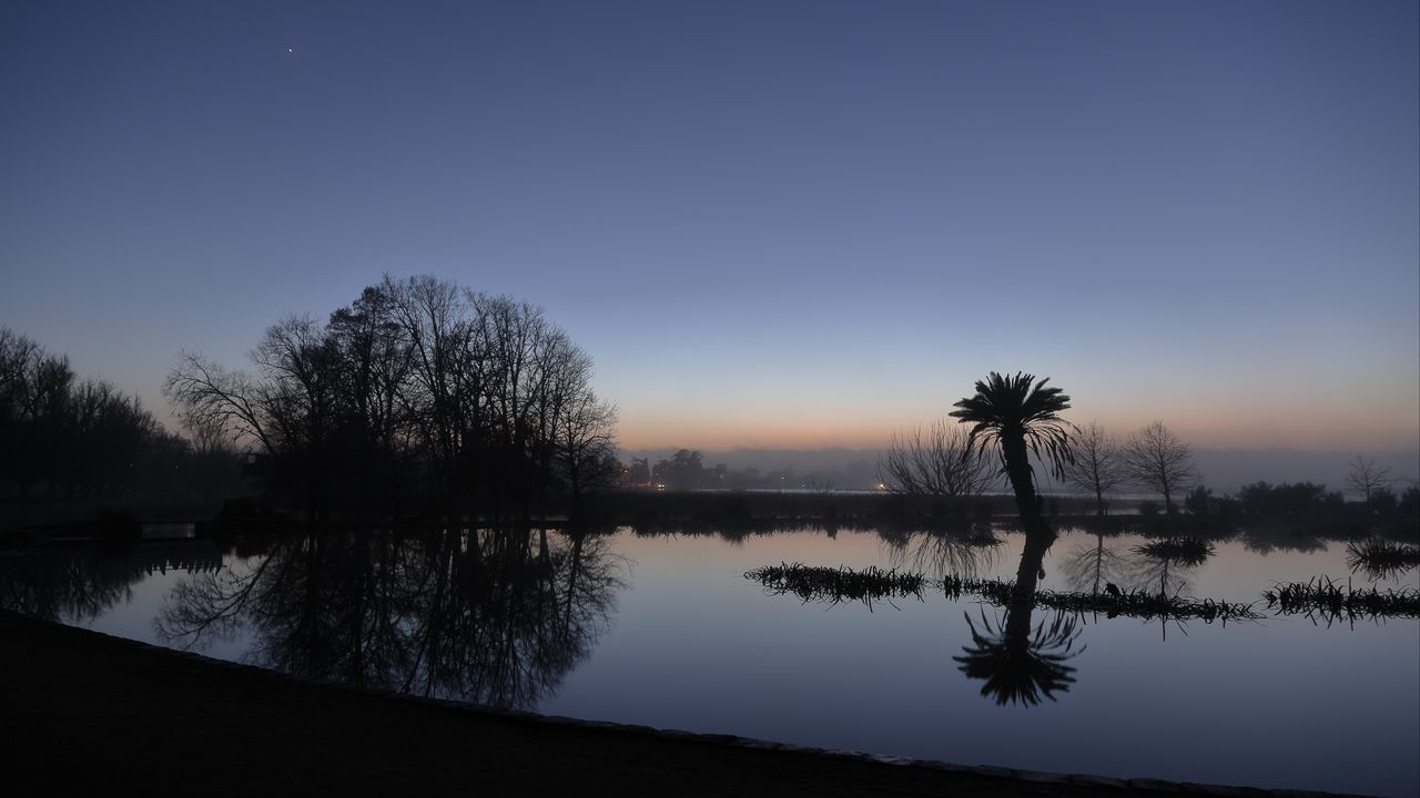 Palm Trees Reflection Sunset Wallpapers