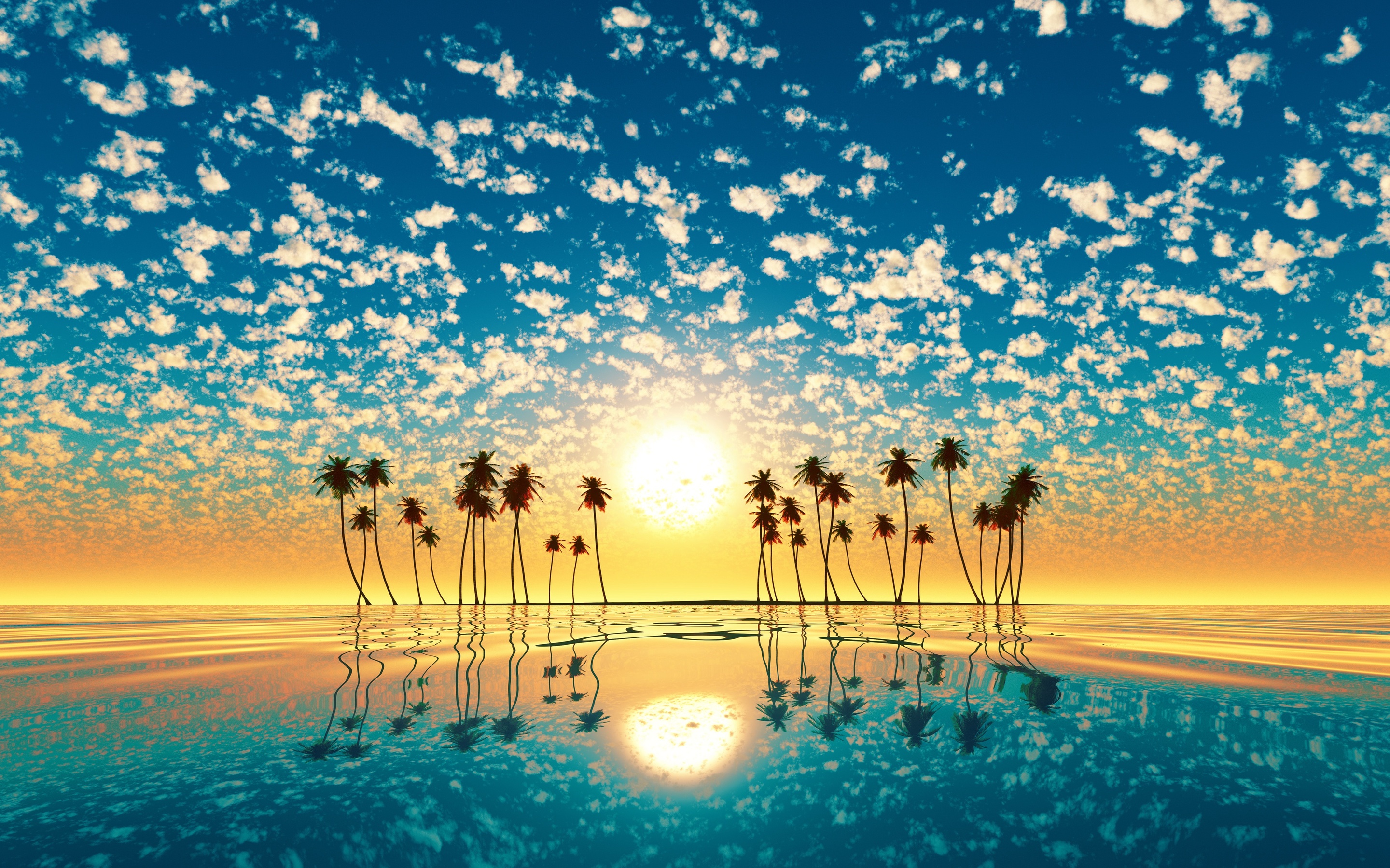 Palm Trees Reflection Sunset Wallpapers