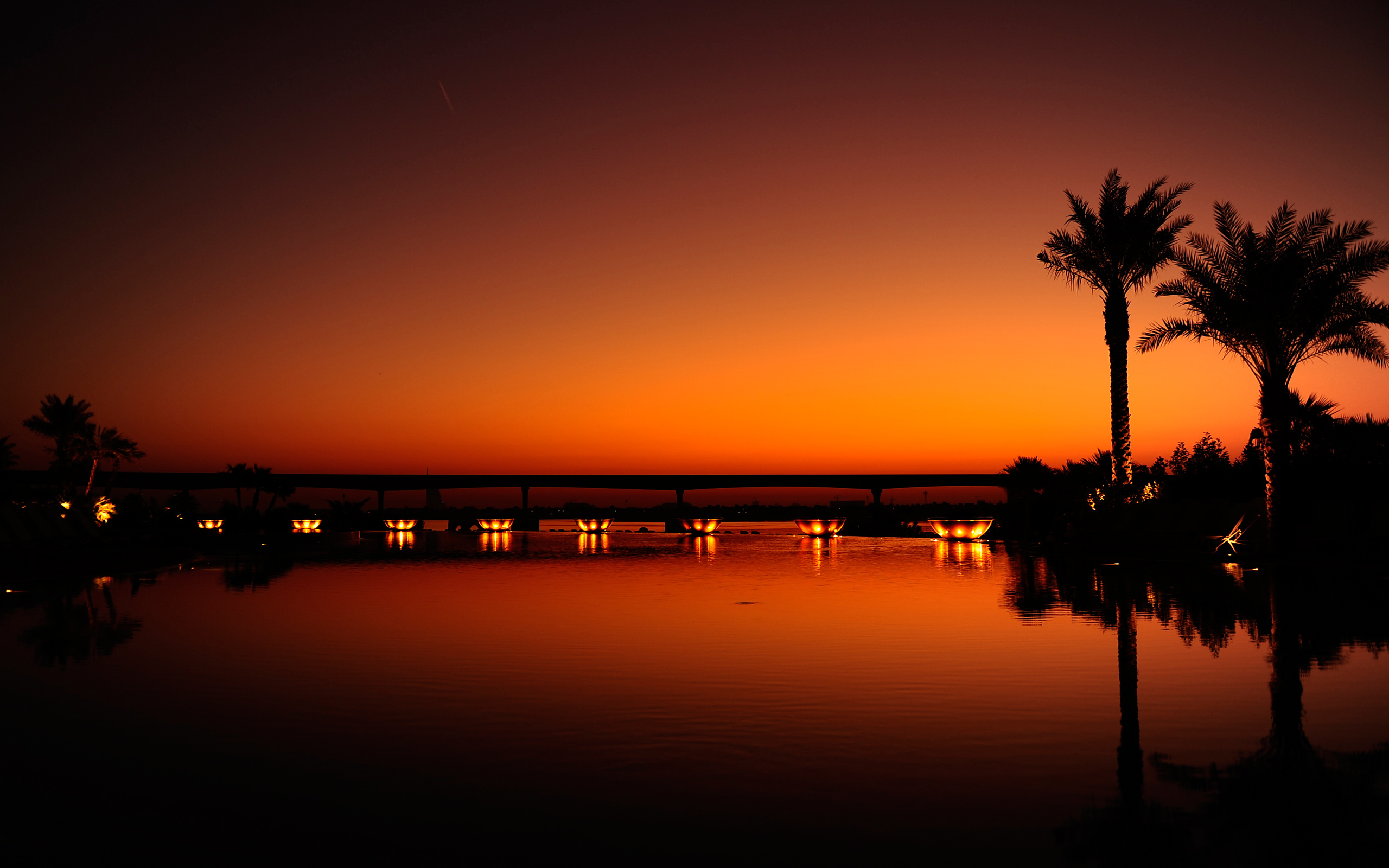 Palm Trees Reflection Sunset Wallpapers