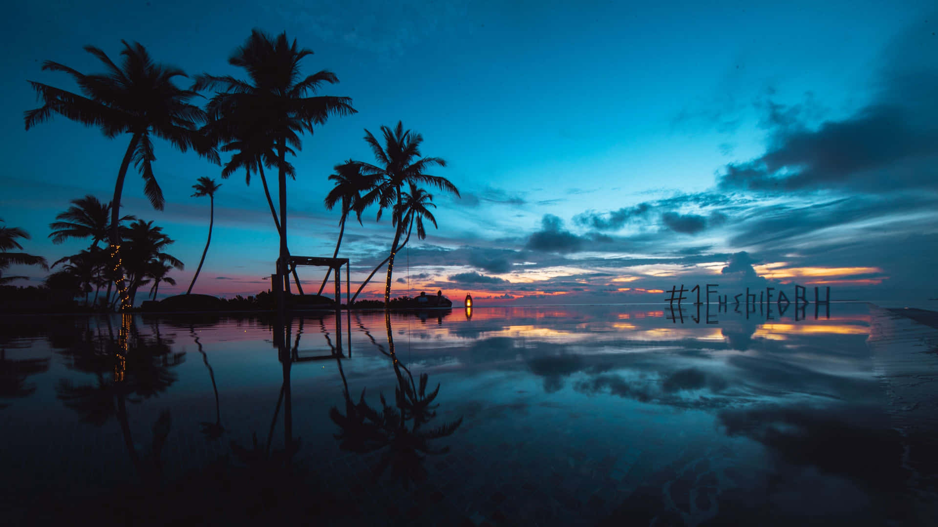 Palm Trees Reflection Sunset Wallpapers