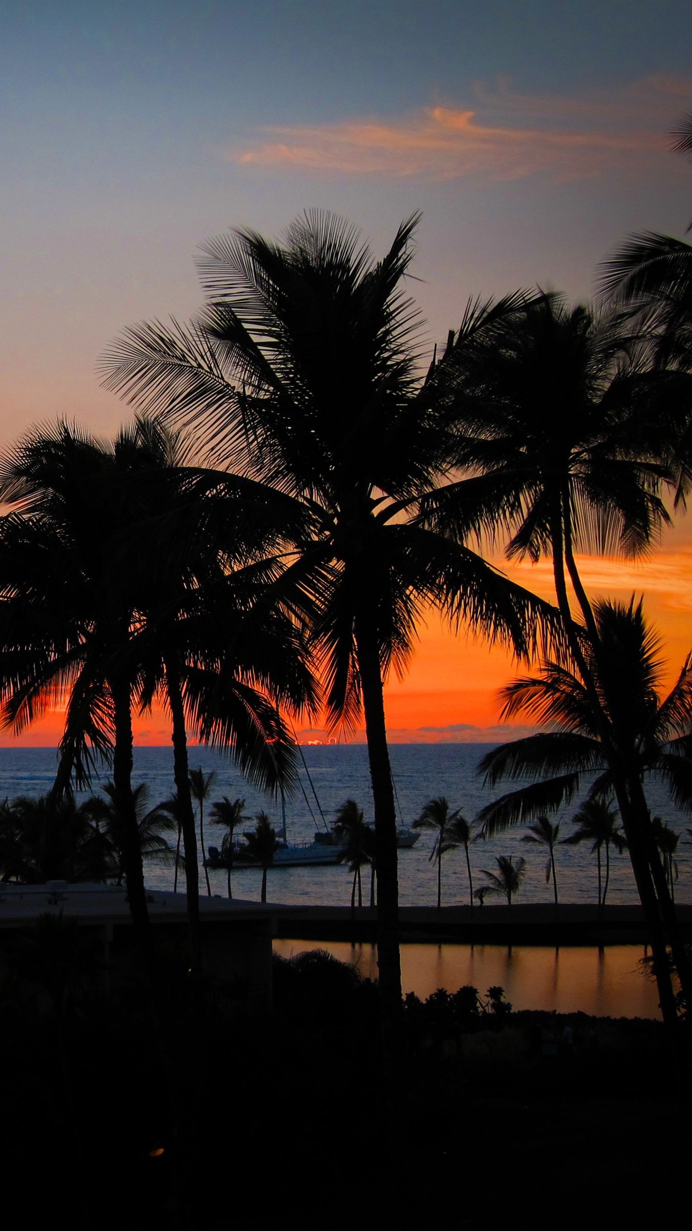 Palm Trees Reflection Sunset Wallpapers