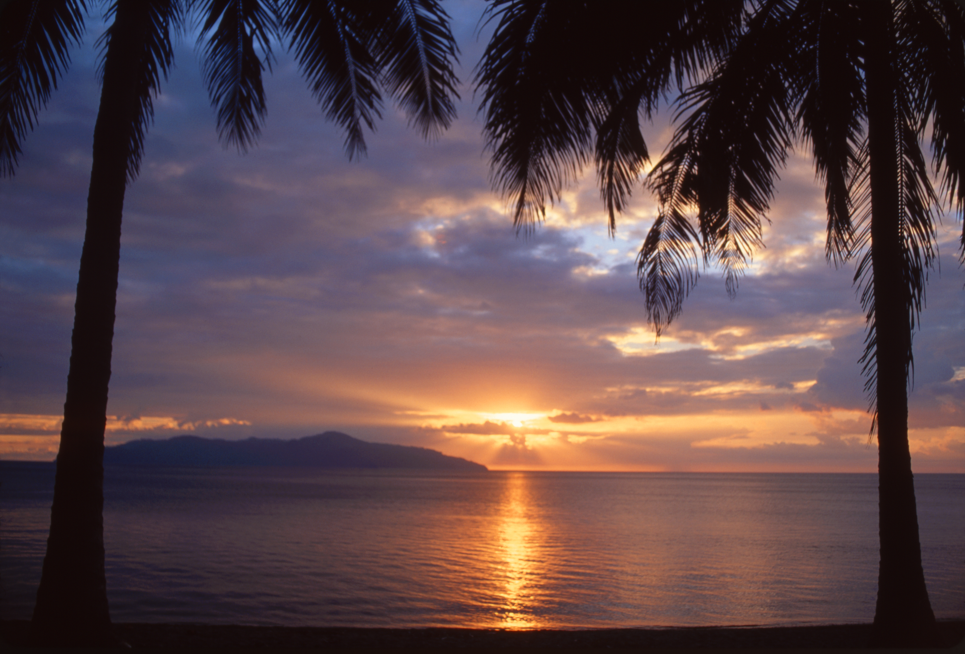 Palm Trees Reflection Sunset Wallpapers