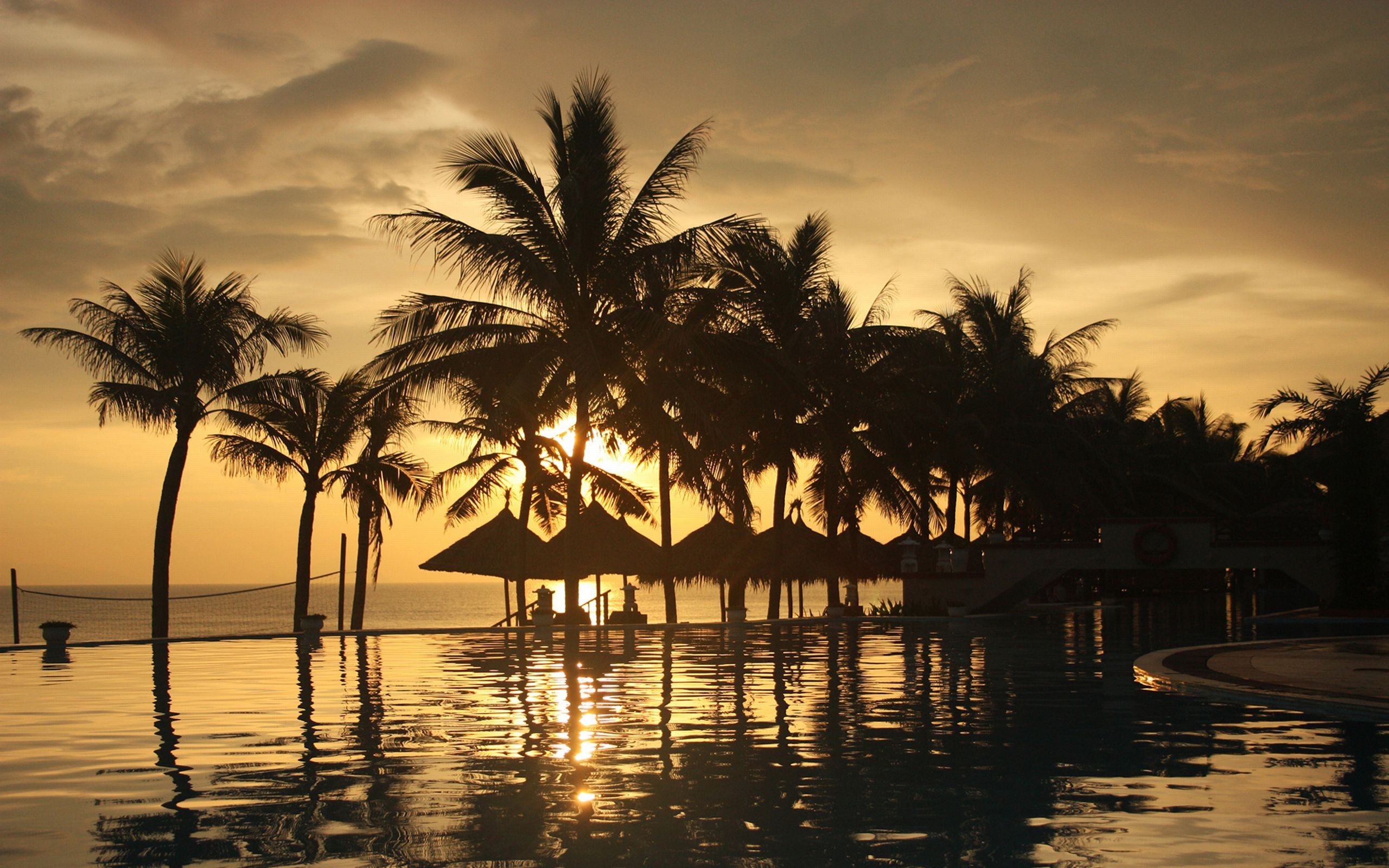 Palm Trees Reflection Sunset Wallpapers