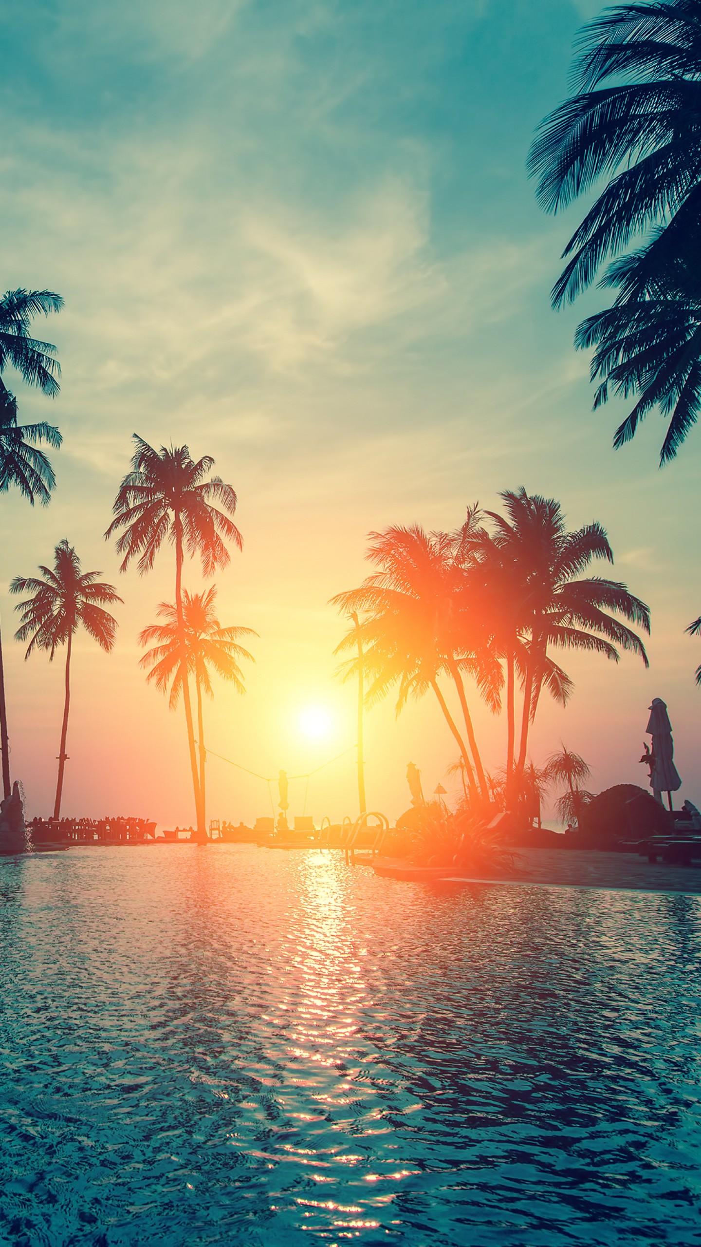 Palm Trees Wallpapers