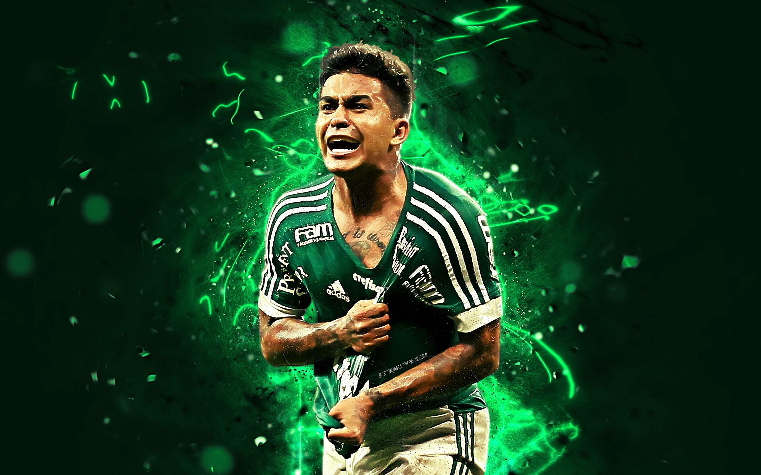 Palmeiras Wallpapers