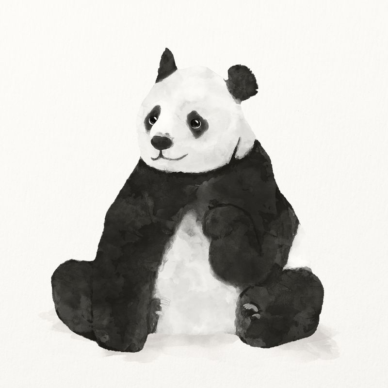 Panda Bear Wallpapers