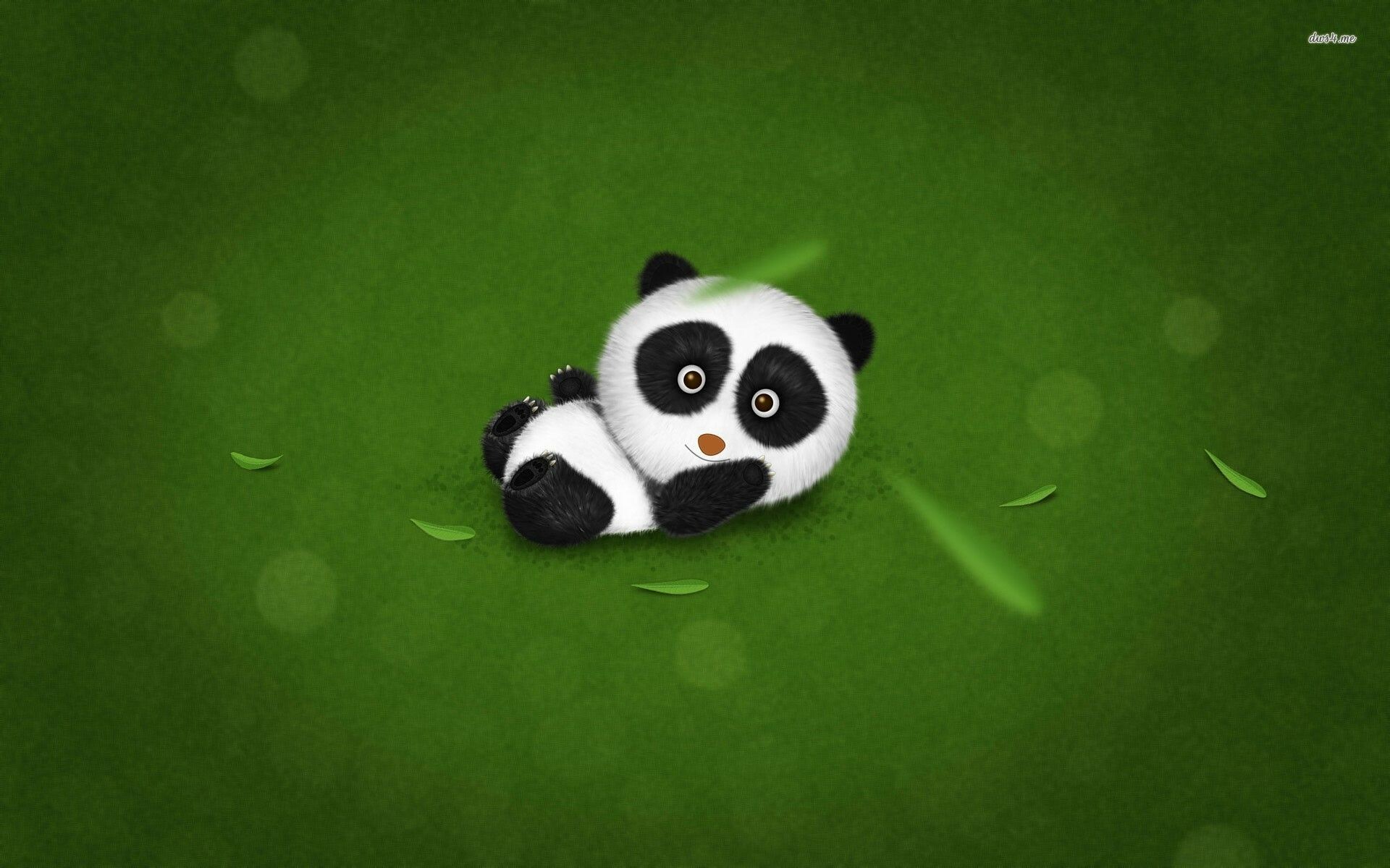 Panda Bears Wallpapers