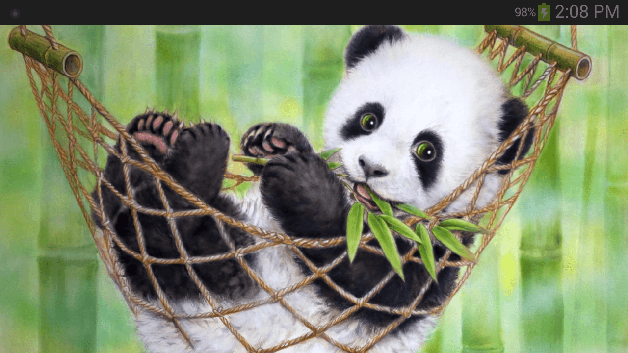 Panda Love Wallpapers