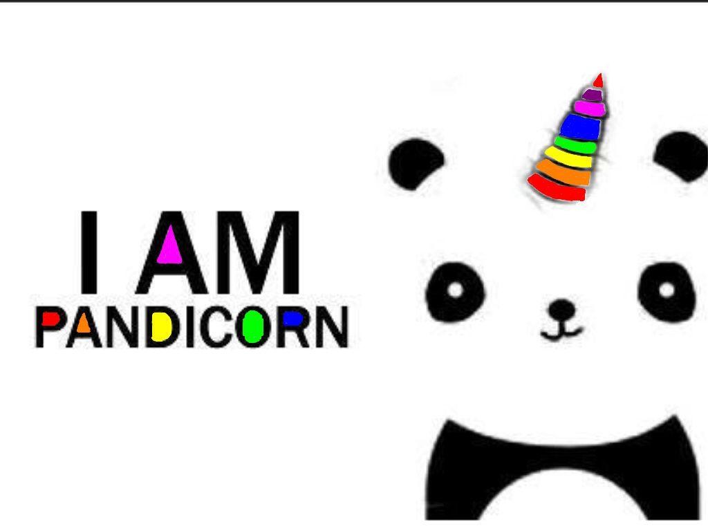 Pandacorn Wallpapers