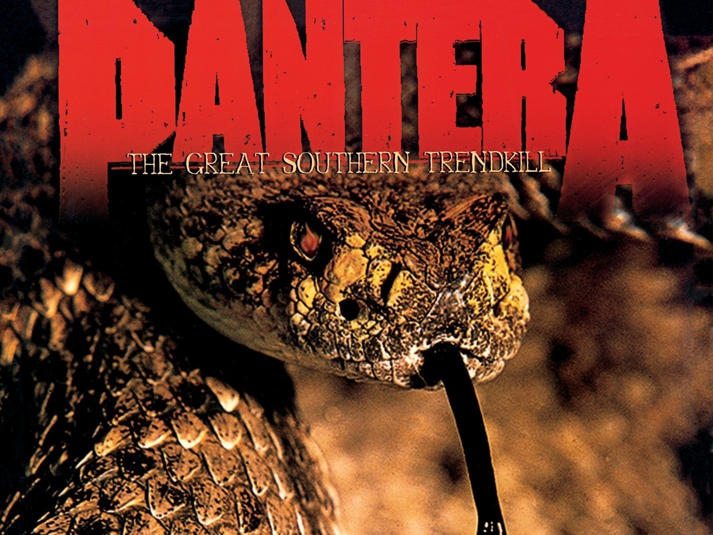 Pantera Wall Paper Wallpapers