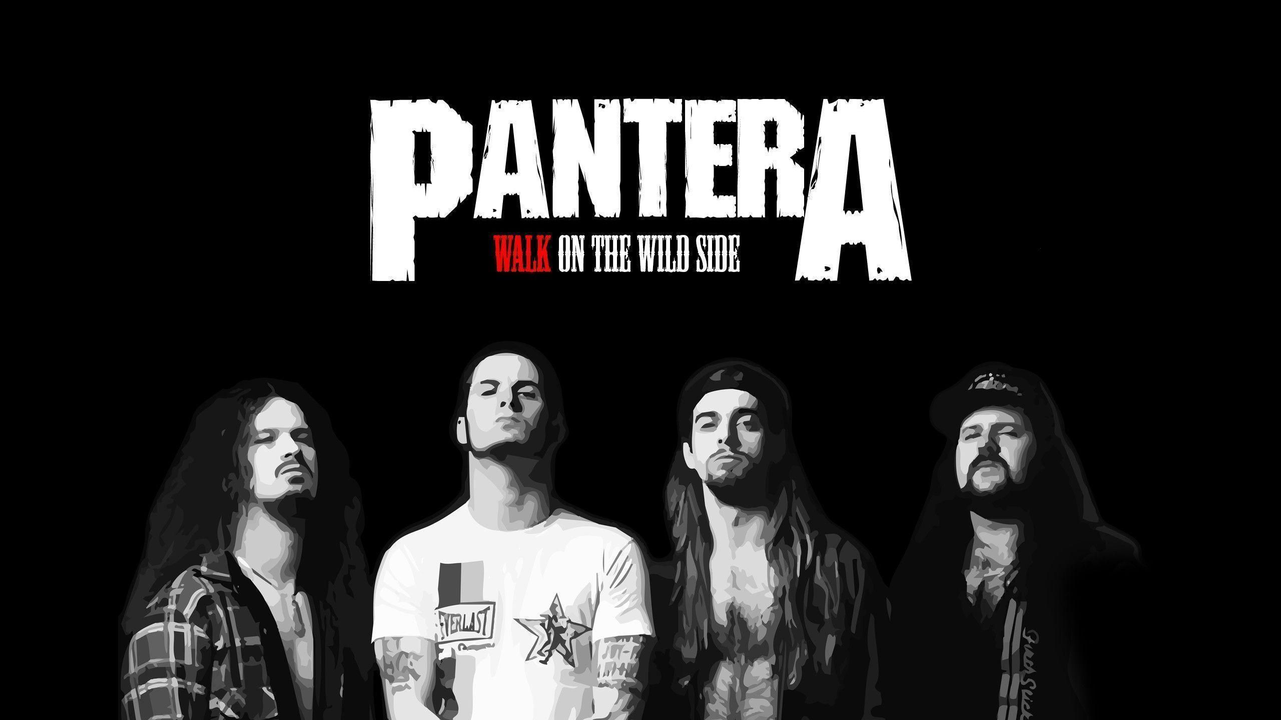 Pantera Wall Paper Wallpapers