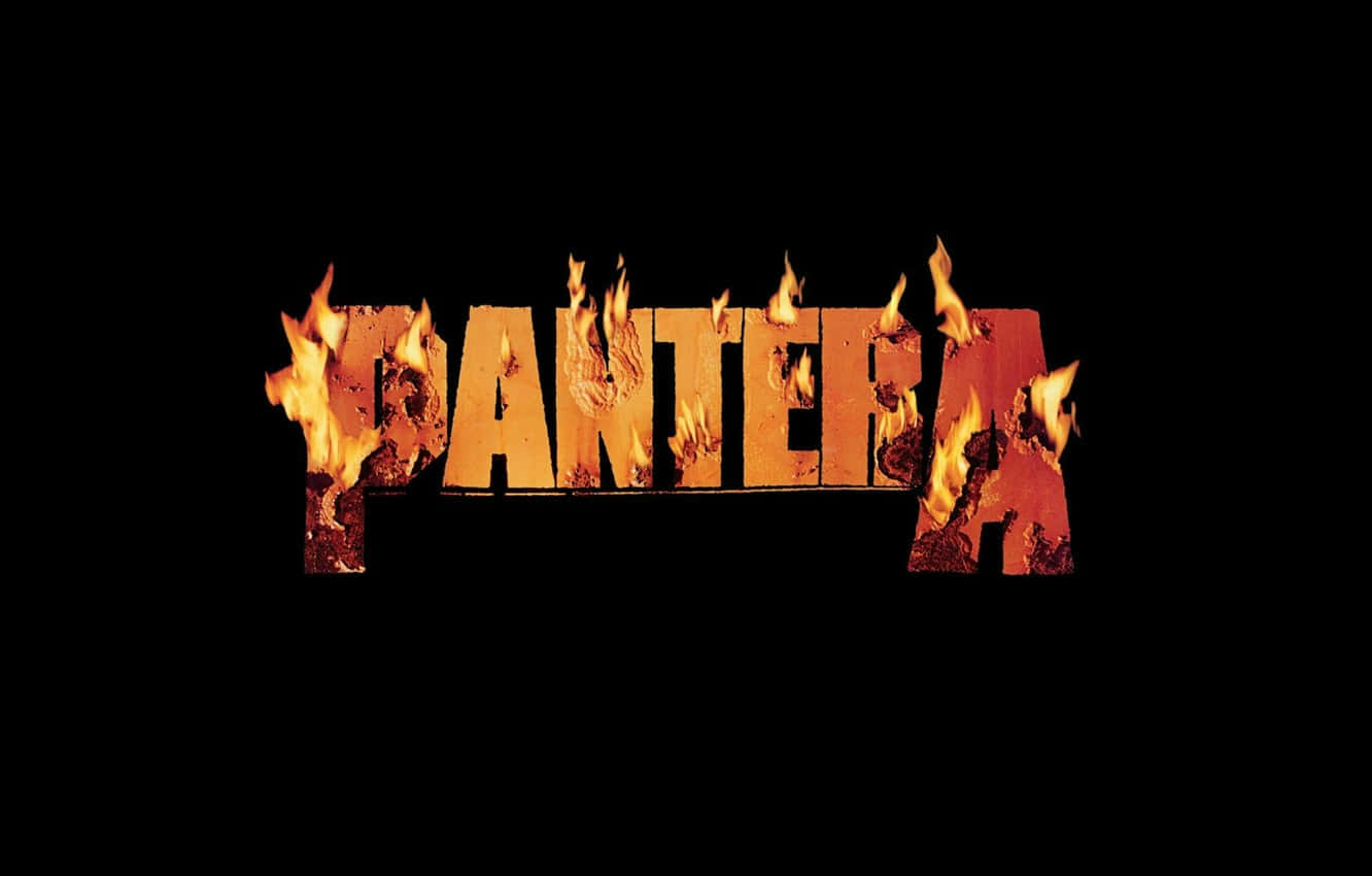 Pantera Wall Paper Wallpapers