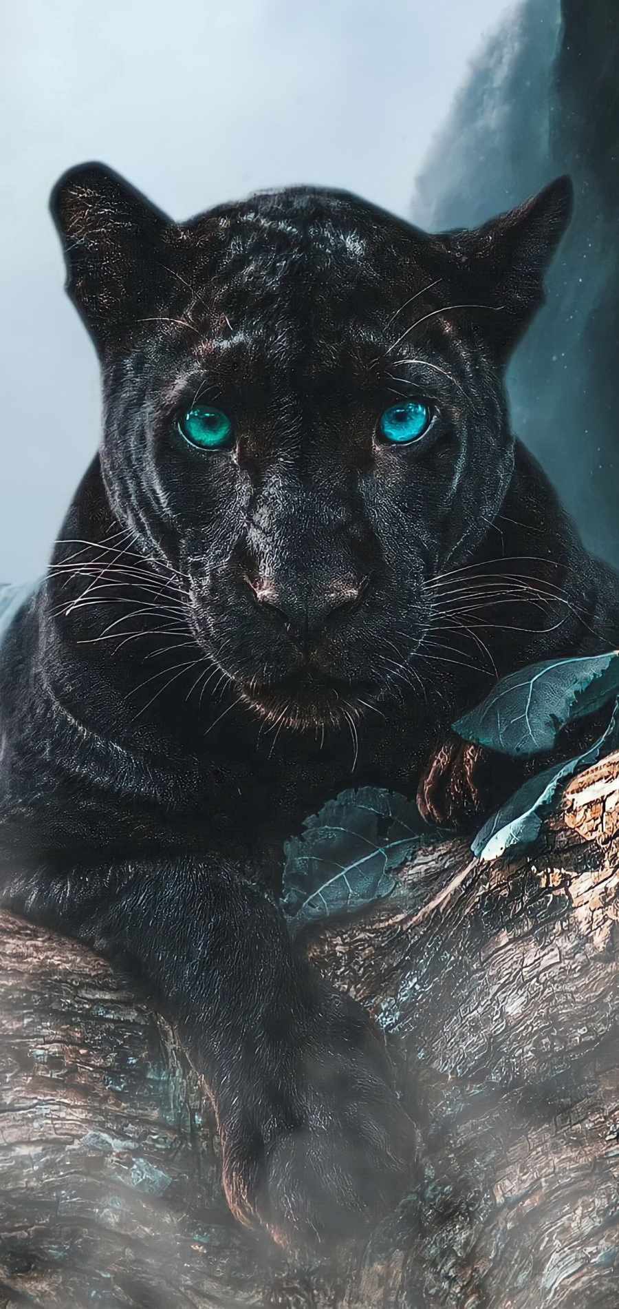 Panther Iphone Wallpapers