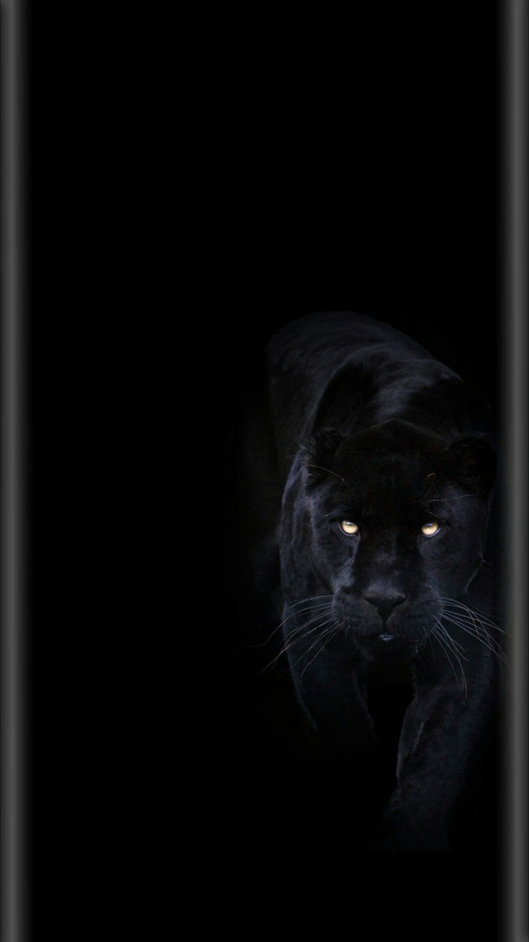 Panther Iphone Wallpapers