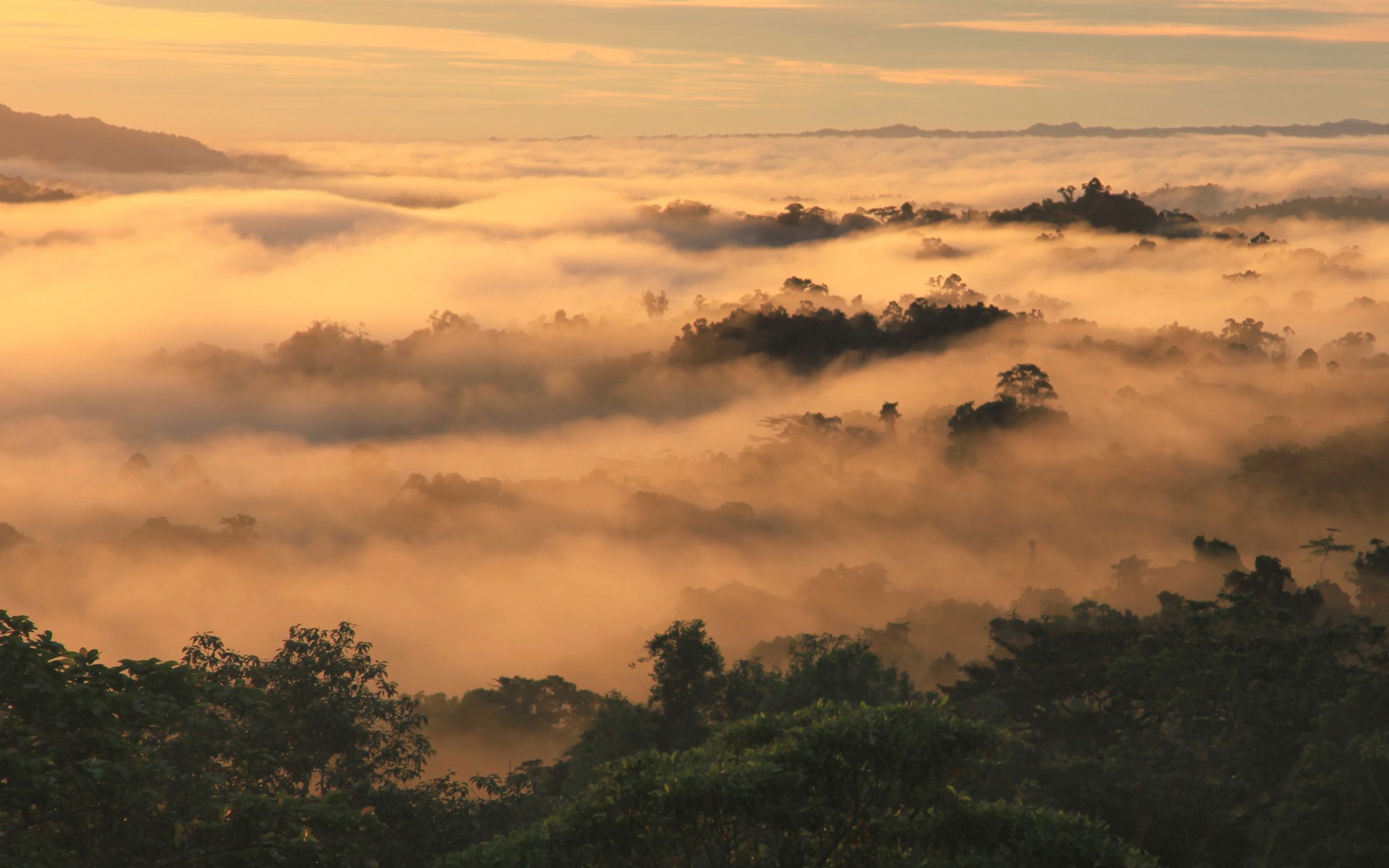 Papua New Guinea Wallpapers