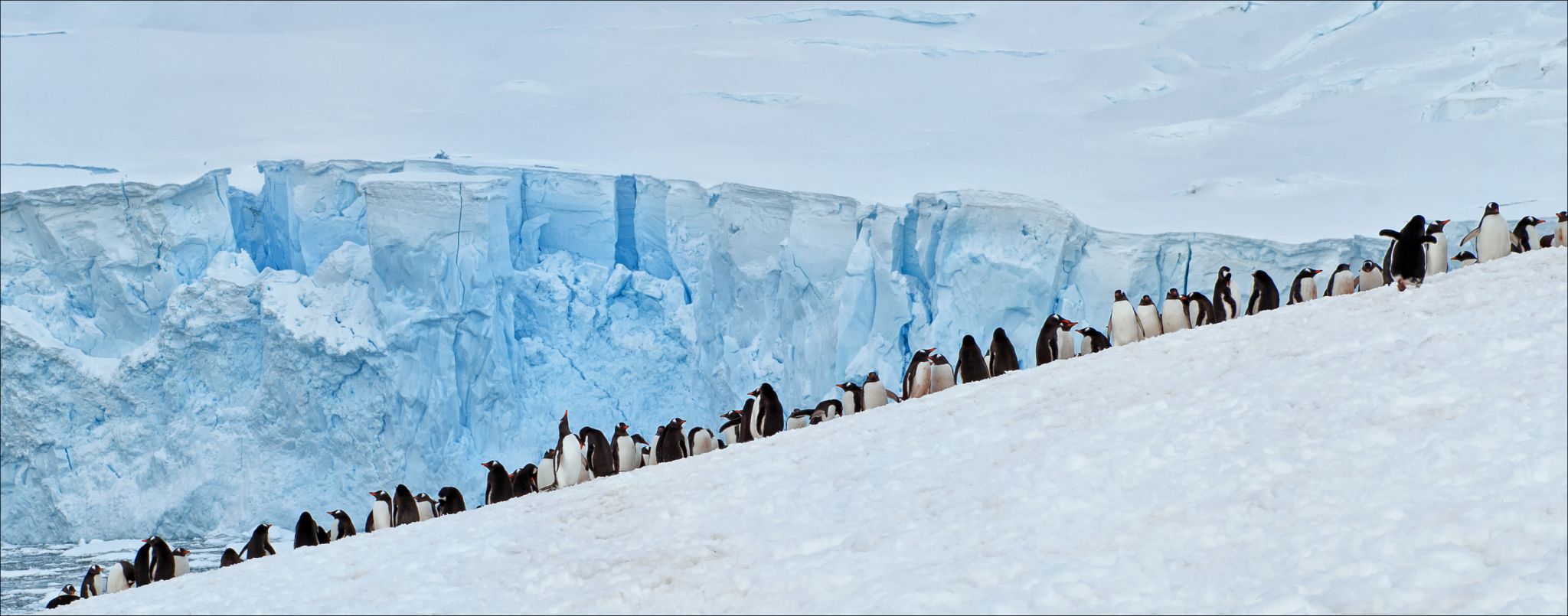 Paradise Bay Antarctica Wallpapers