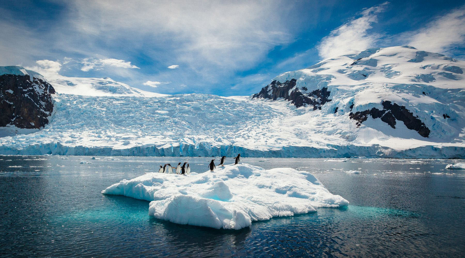 Paradise Bay Antarctica Wallpapers