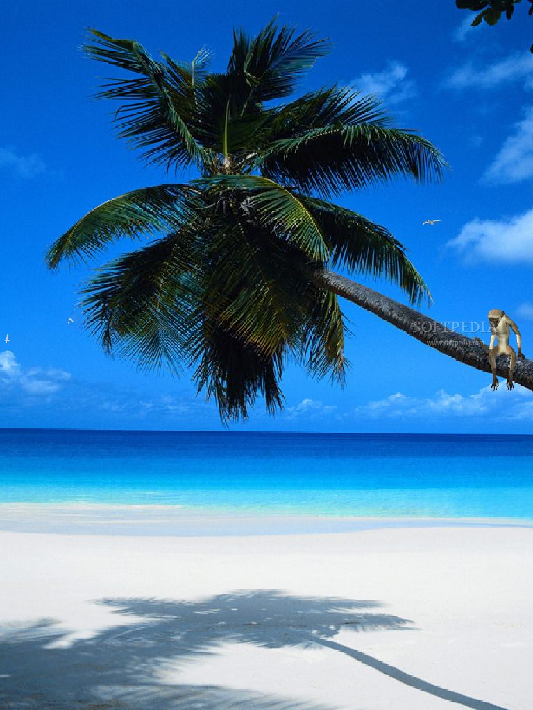 Paradise Hd Wallpapers