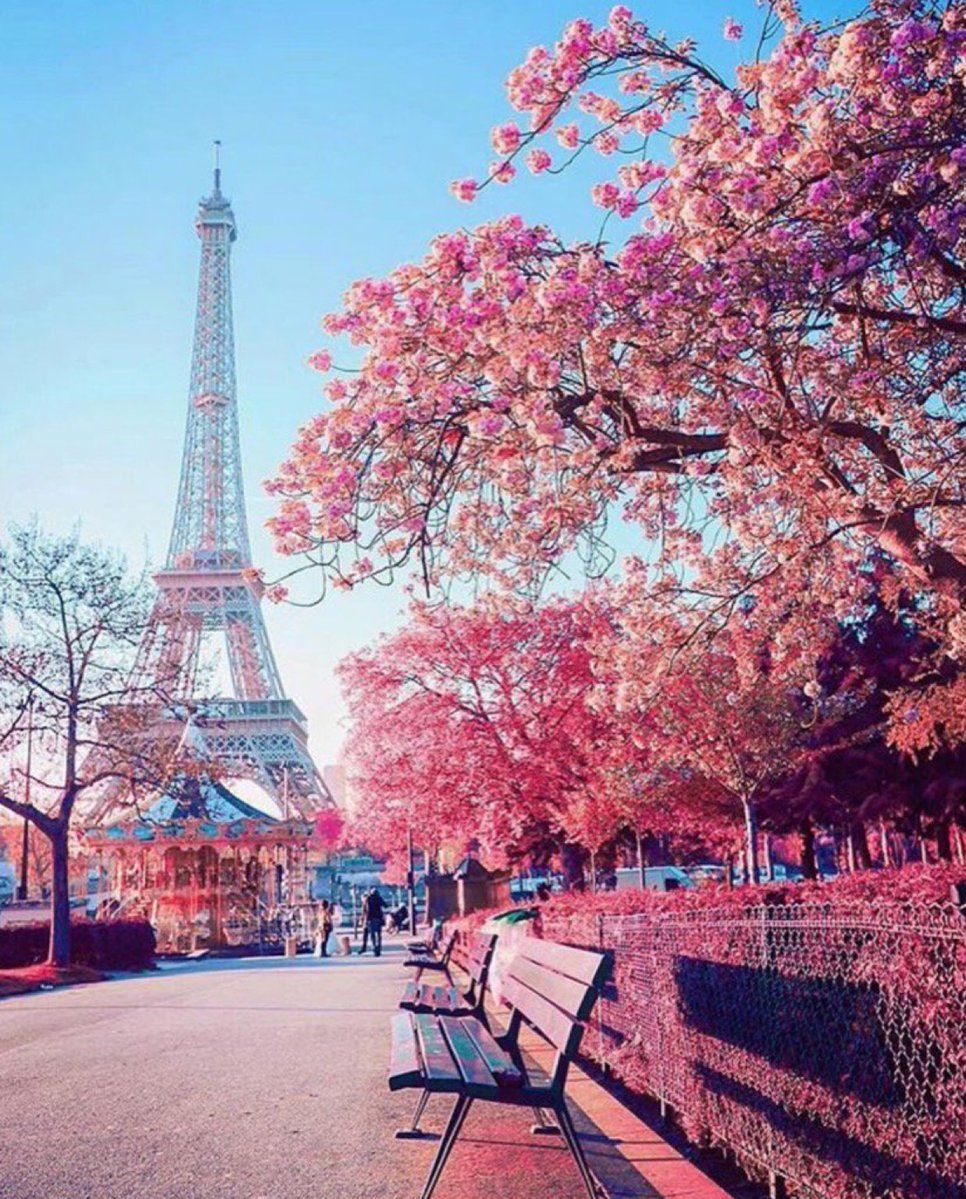 Paris Nature Wallpapers