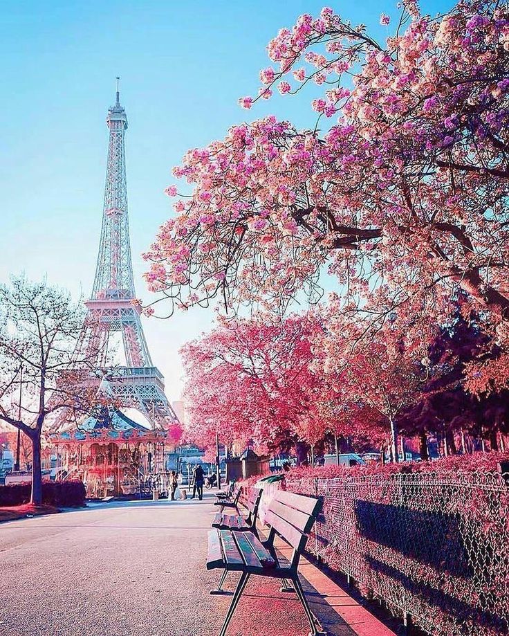 Paris Nature Wallpapers