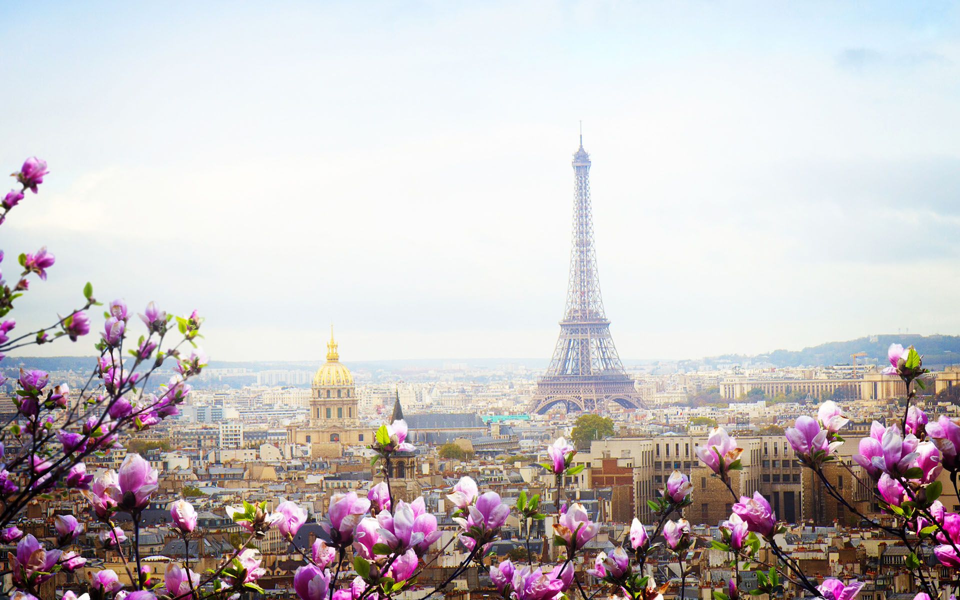 Paris Spring Wallpapers