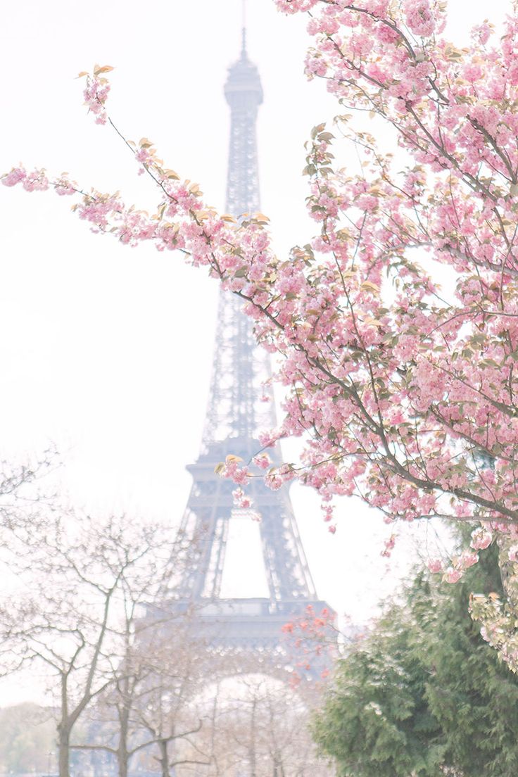 Paris Spring Wallpapers