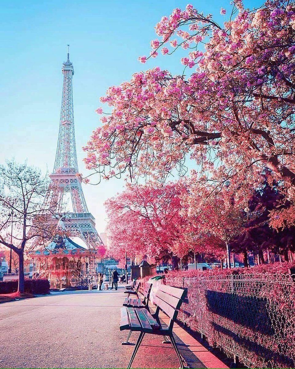 Paris Spring Wallpapers