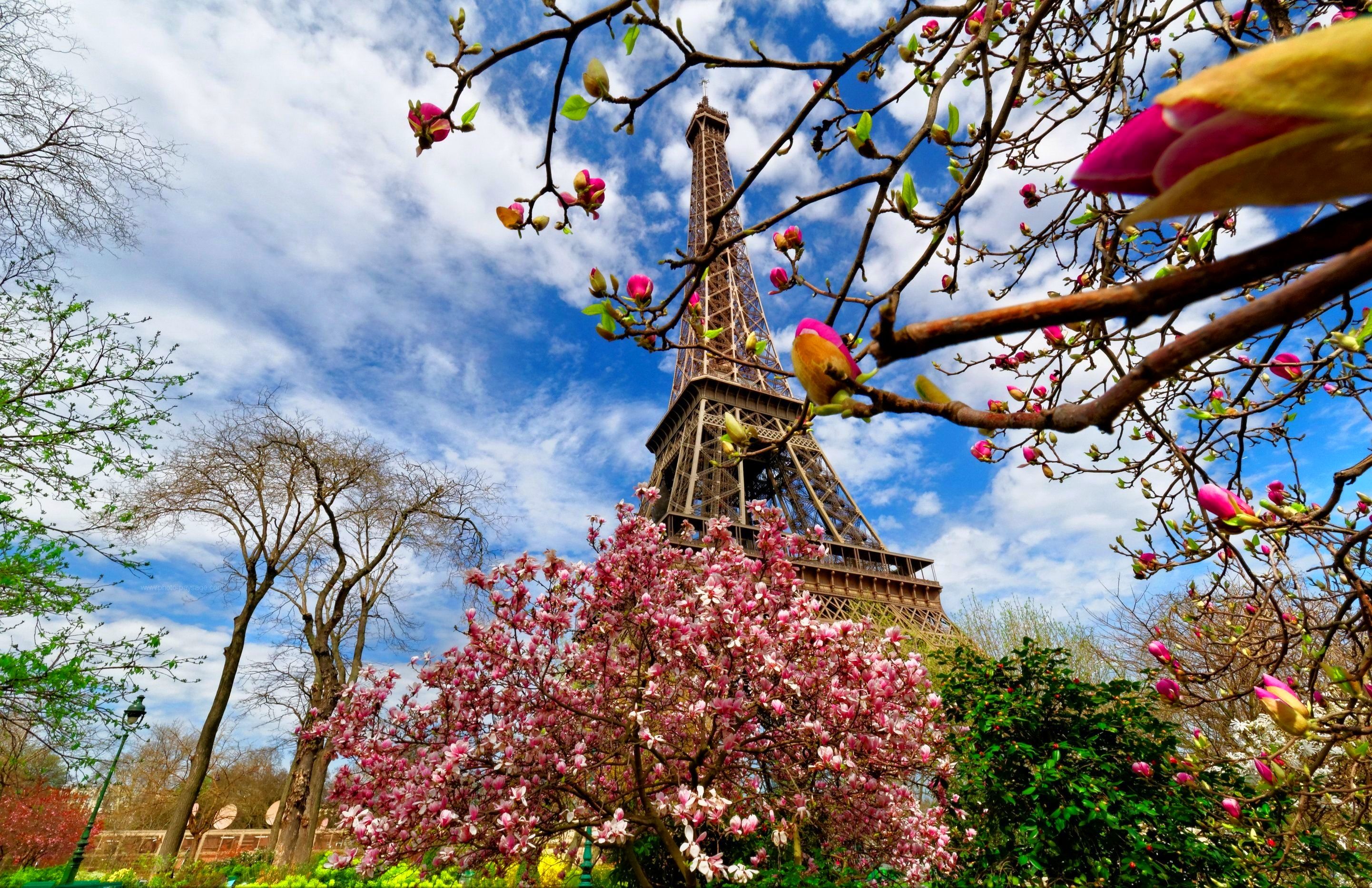 Paris Spring Wallpapers