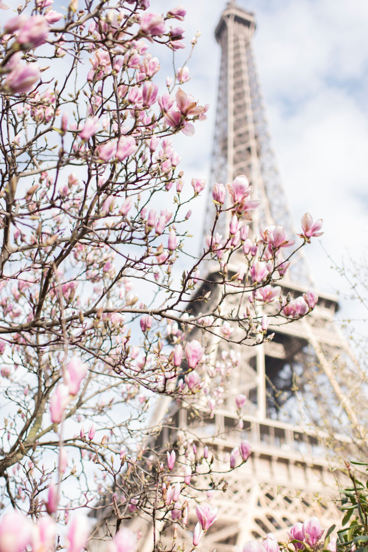 Paris Spring Wallpapers