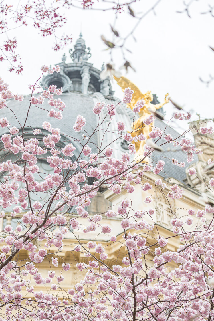 Paris Spring Wallpapers