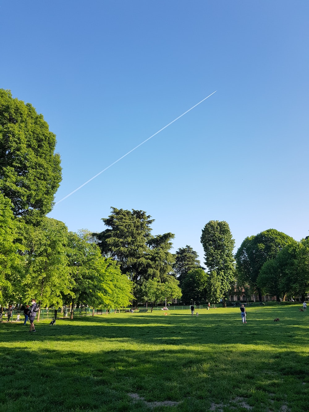 Park Background