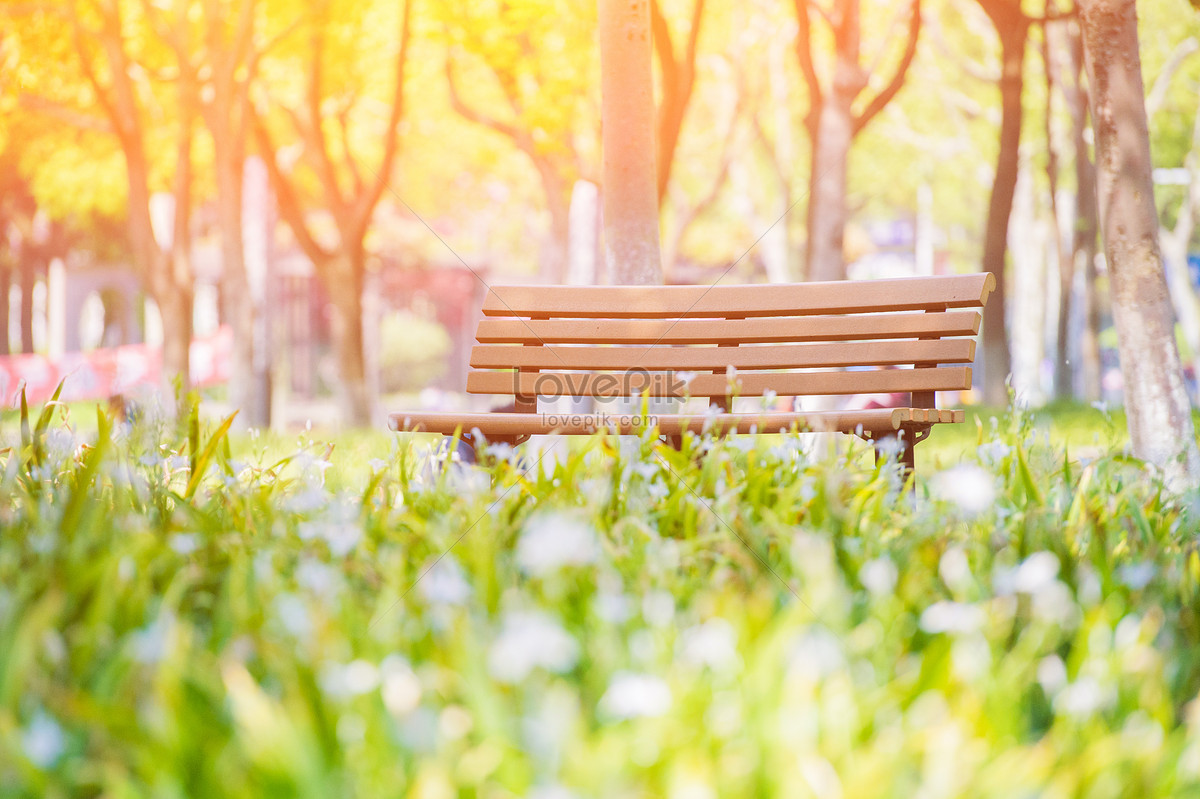 Park Bench Wallpapers