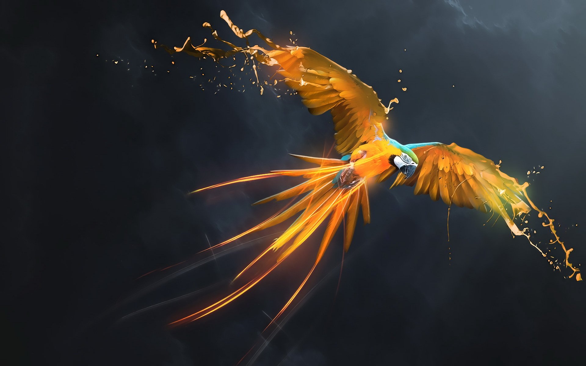 Parrot Artist Wallpapers