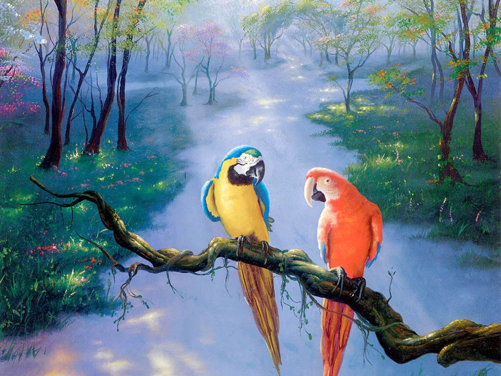 Parrot Artist Wallpapers