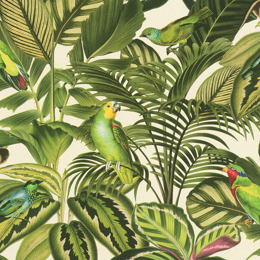 Parrot Artist Wallpapers