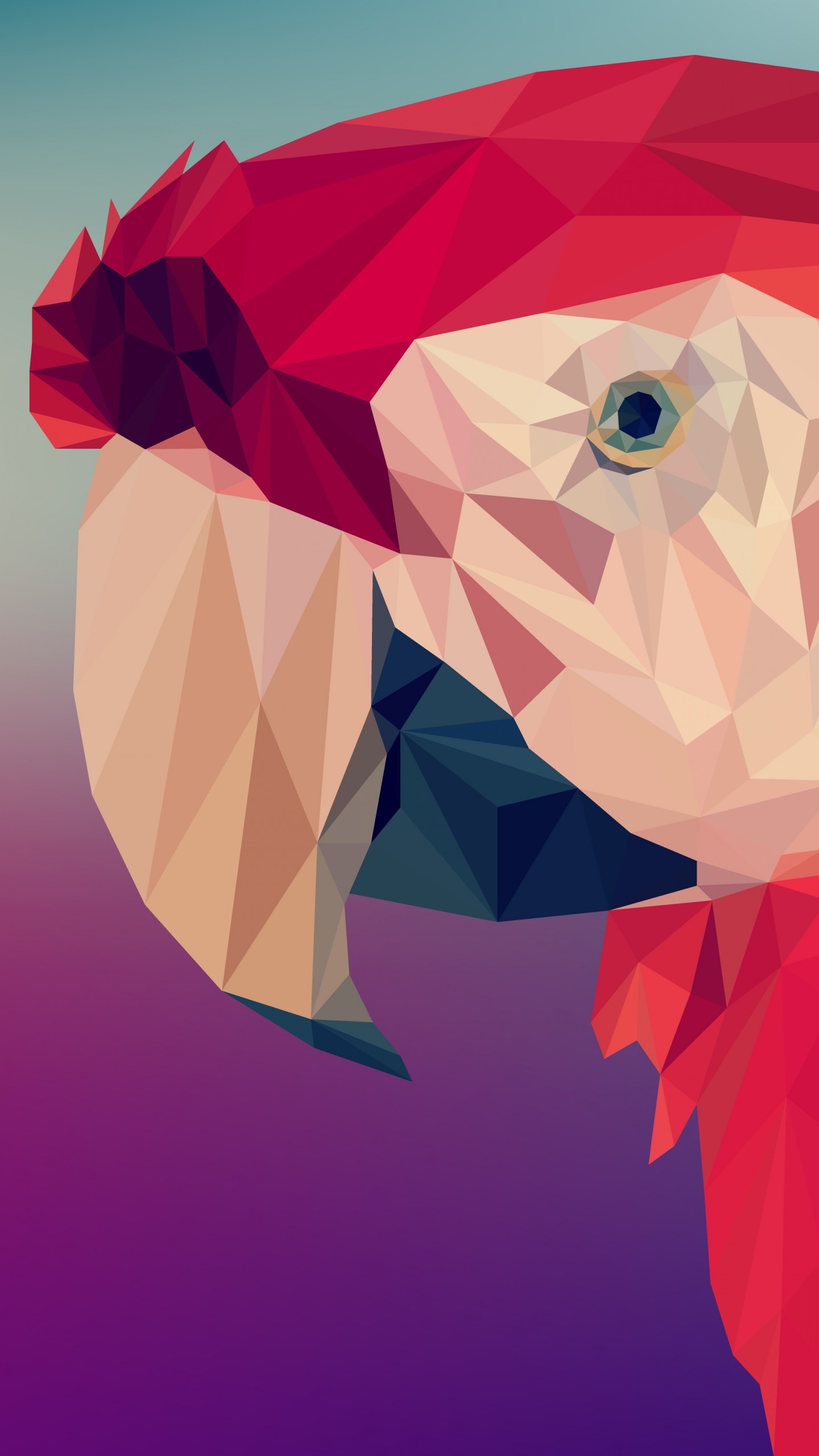 Parrot Artist Wallpapers