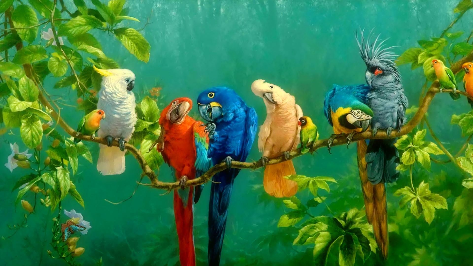 Parrot Artist Wallpapers
