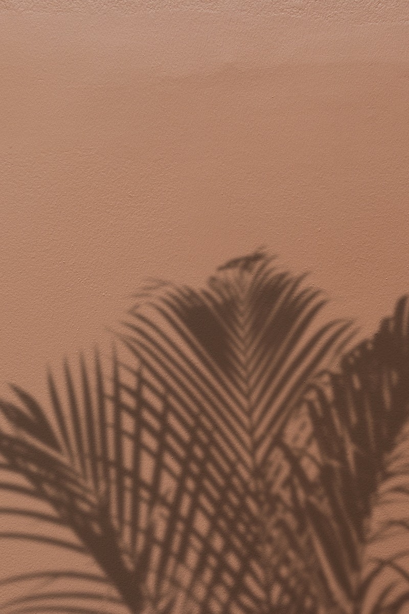 Pastel Aesthetic Brown Wallpapers