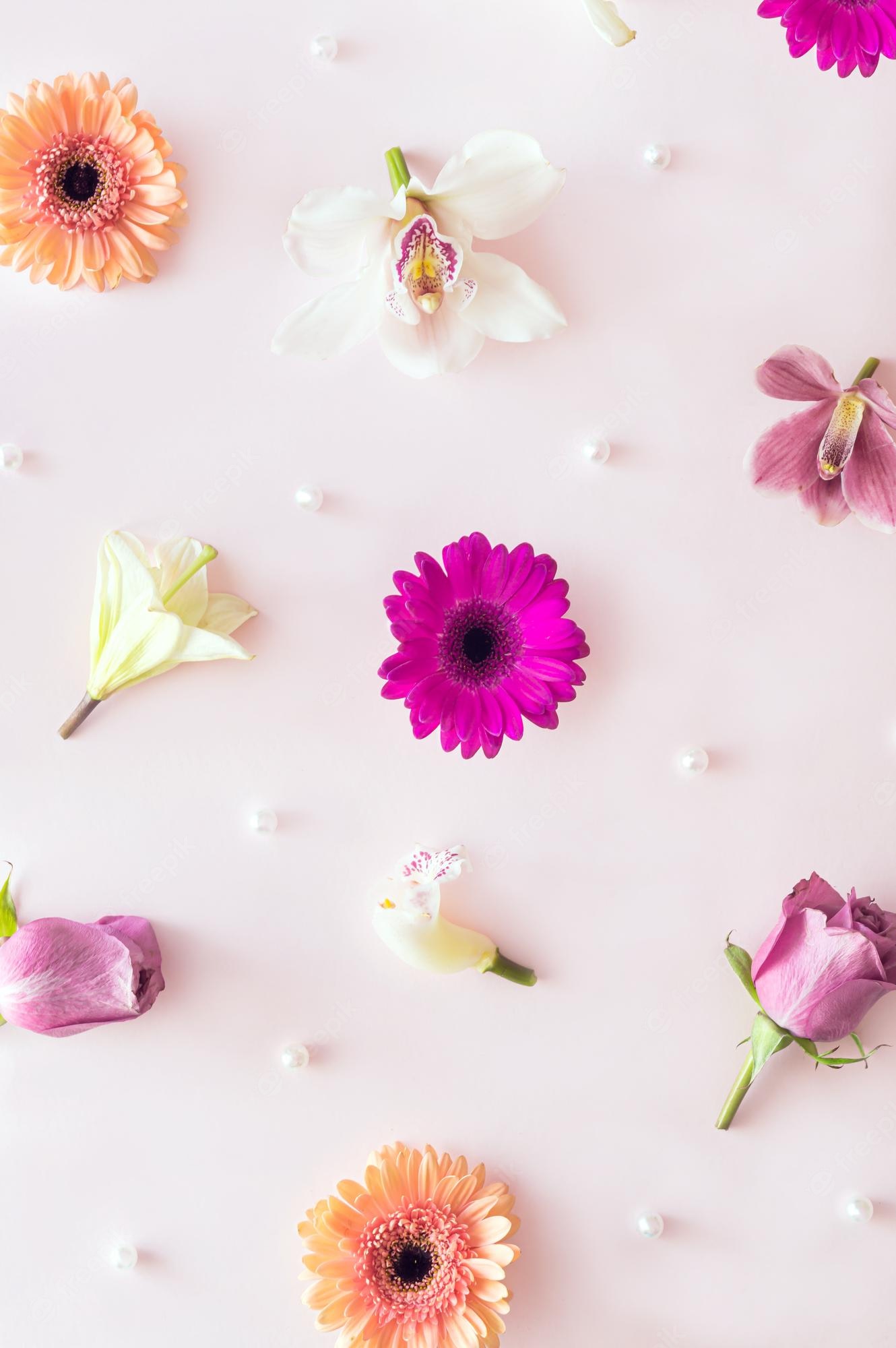 Pastel Aesthetic Flower Wallpapers