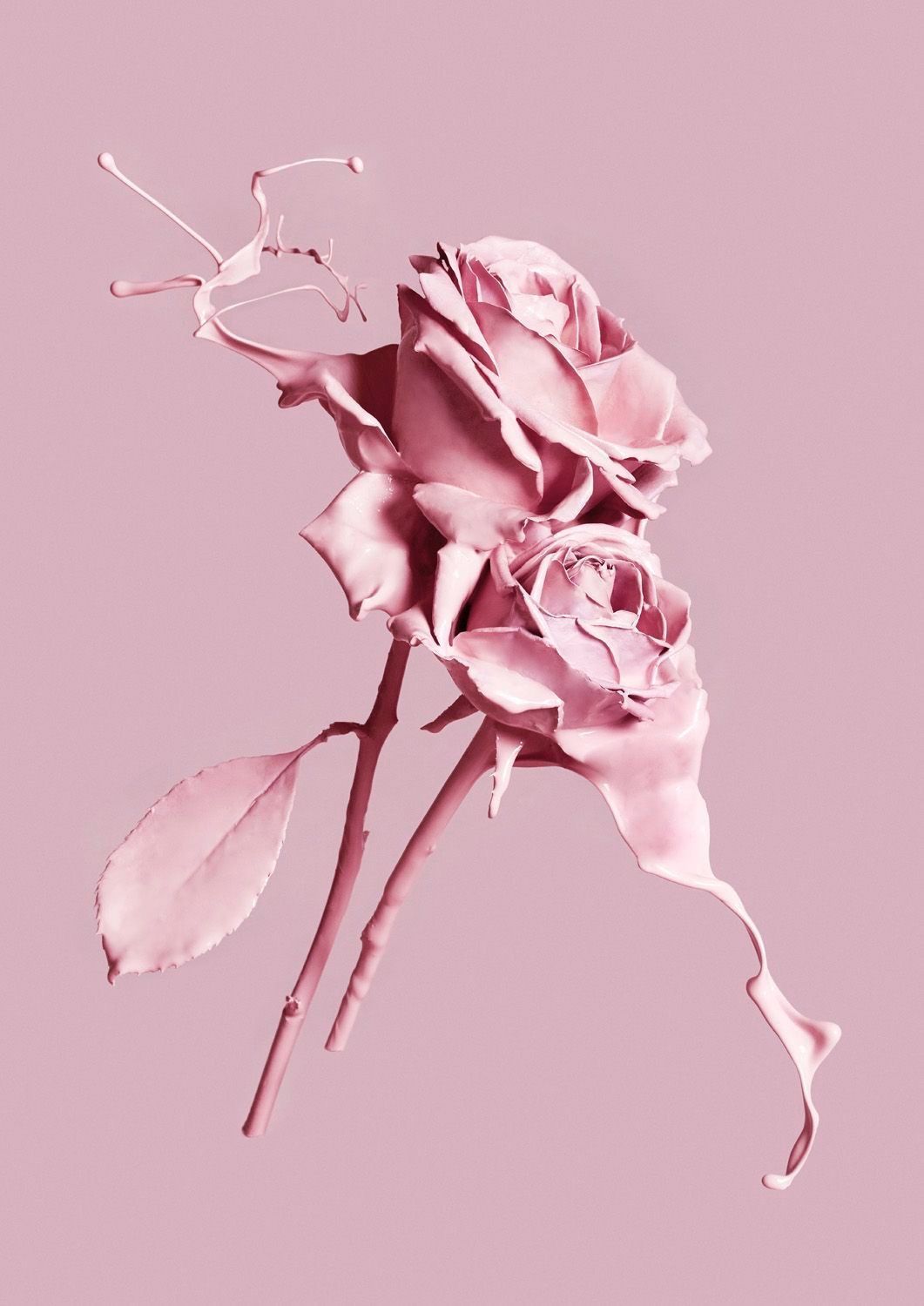 Pastel Aesthetic Rose Wallpapers