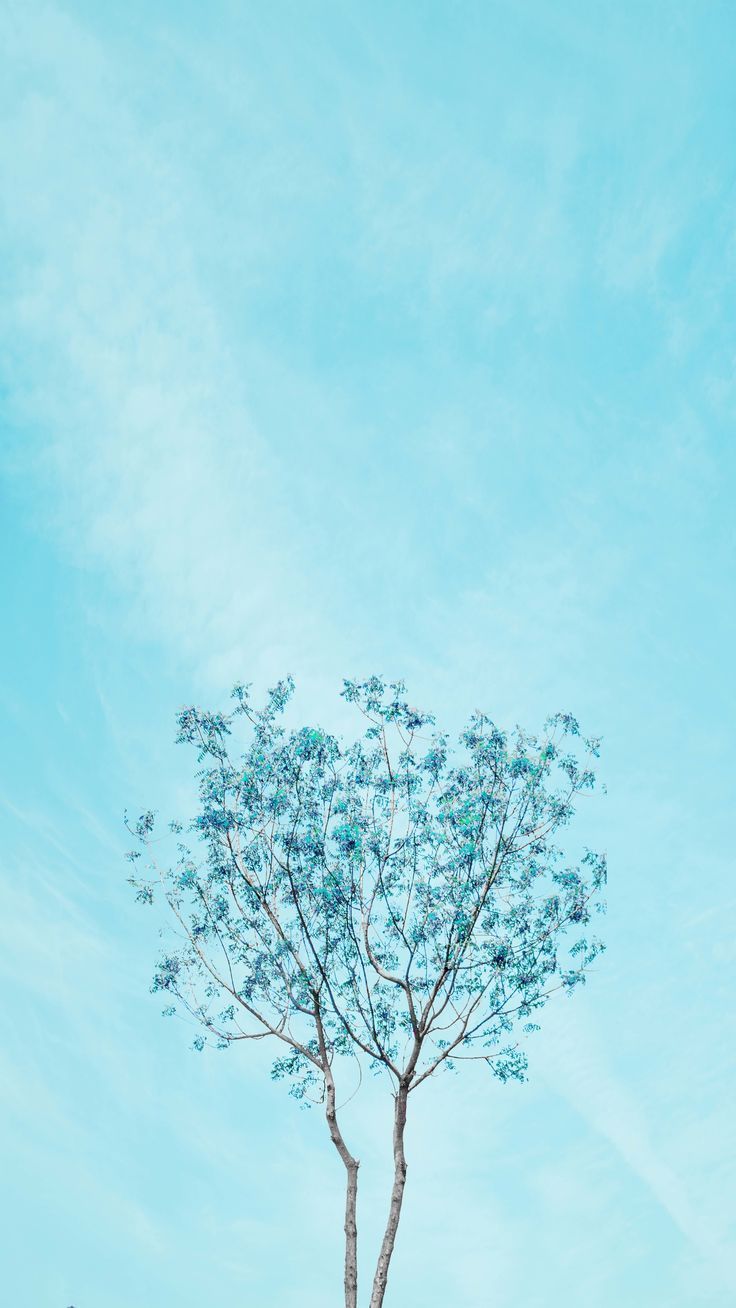 Pastel Blue Things Wallpapers