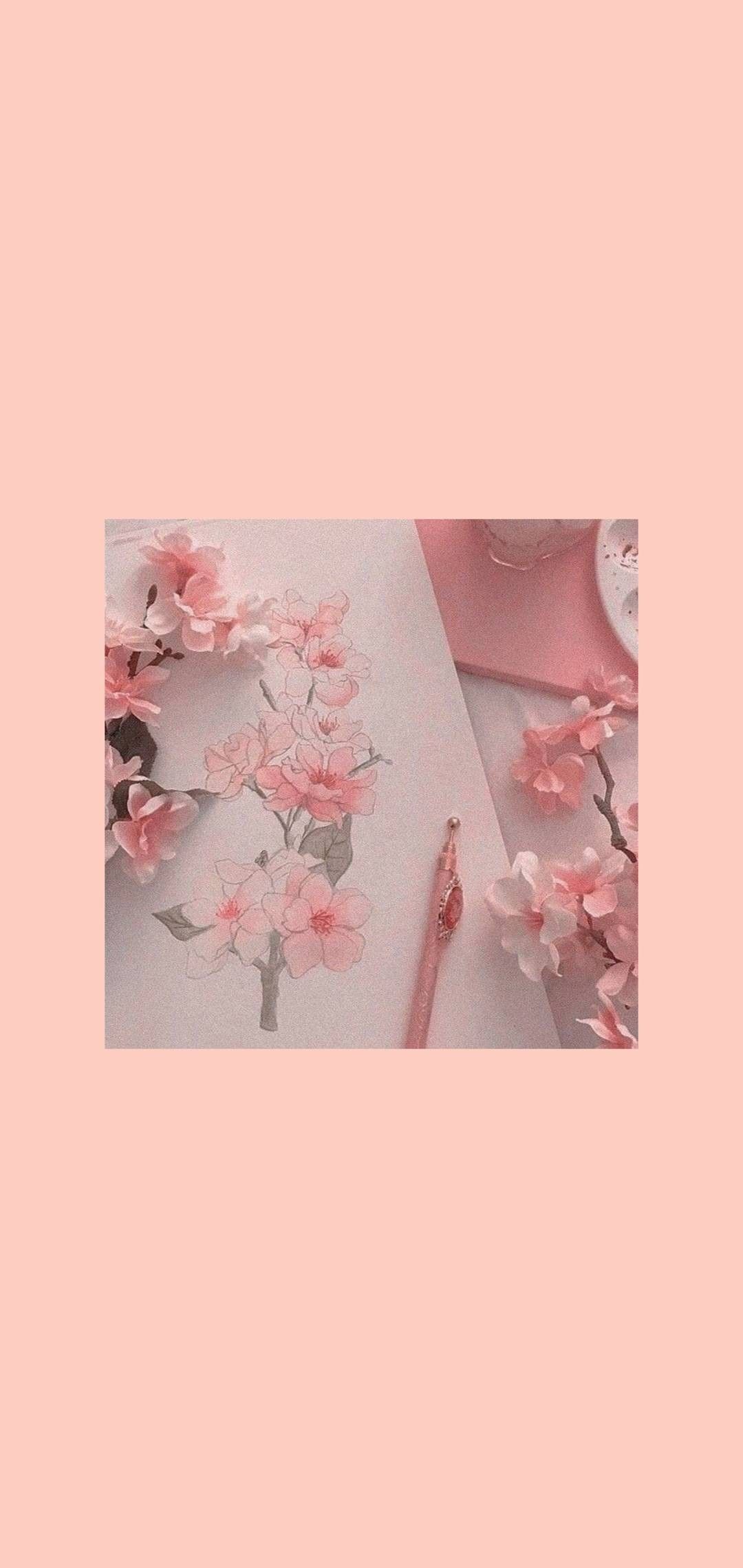 Pastel Cherry Blossom Wallpapers