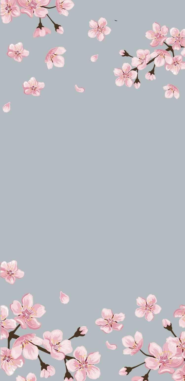 Pastel Cherry Blossom Wallpapers