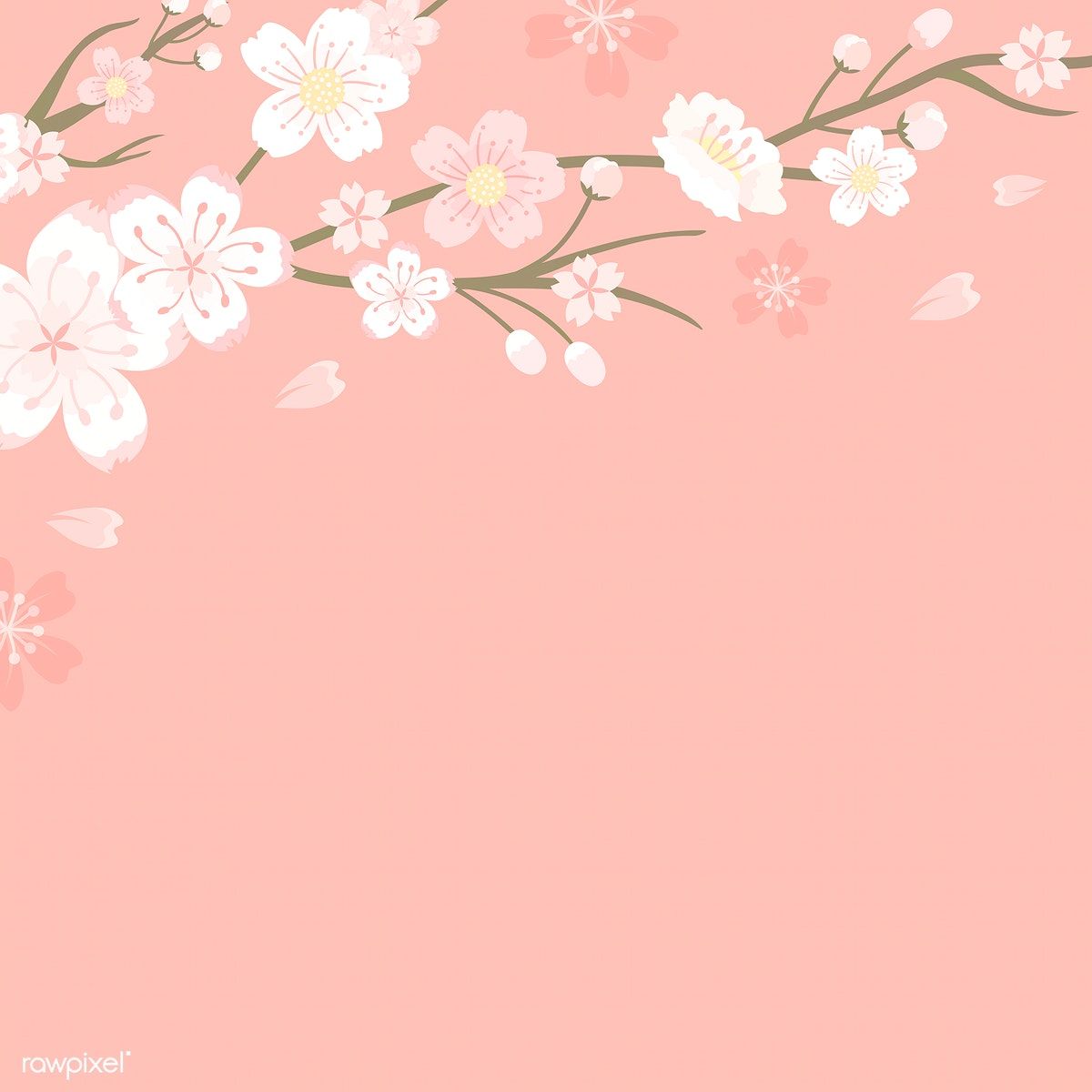 Pastel Cherry Blossom Wallpapers