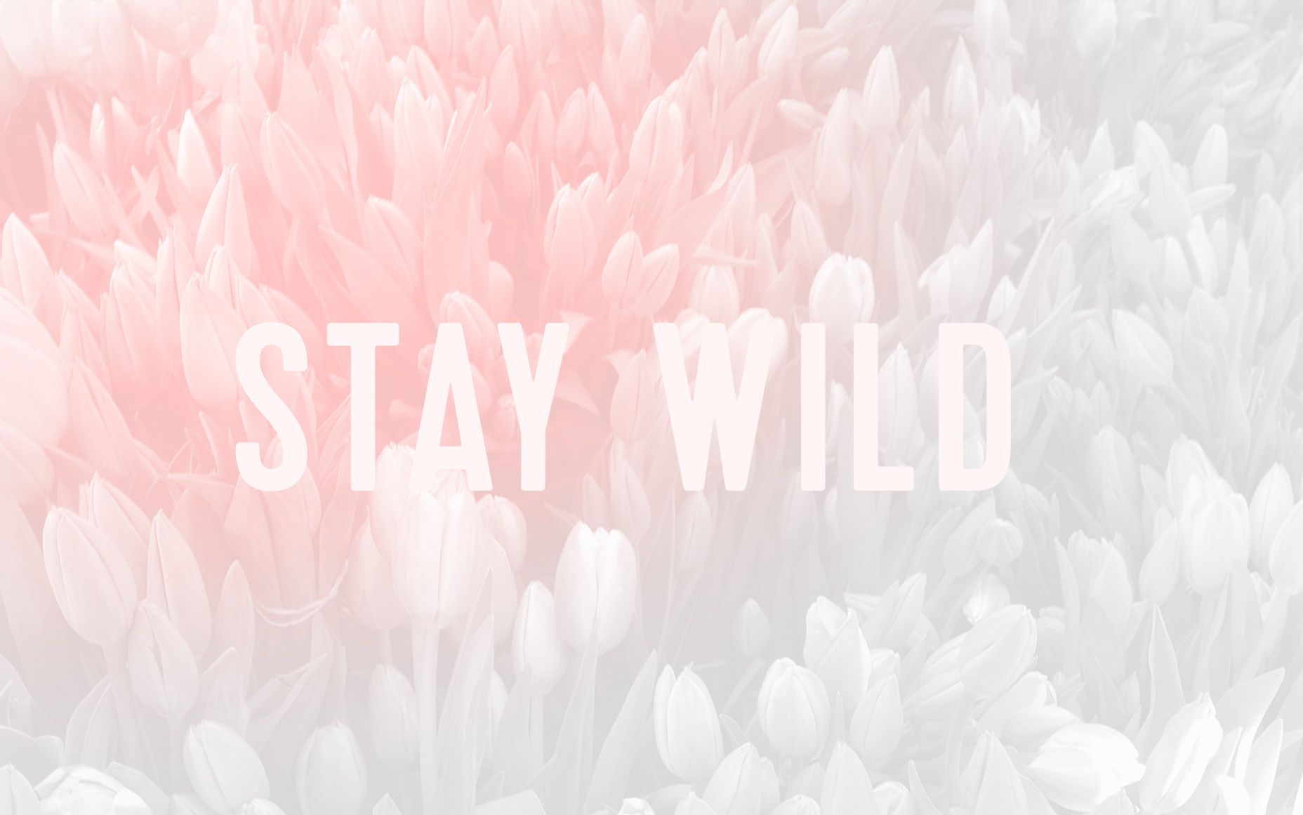 Pastel Cute Aesthetic Wallpapers