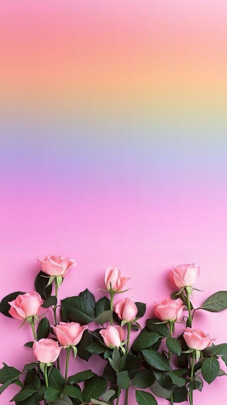 Pastel Floral Iphone Wallpapers