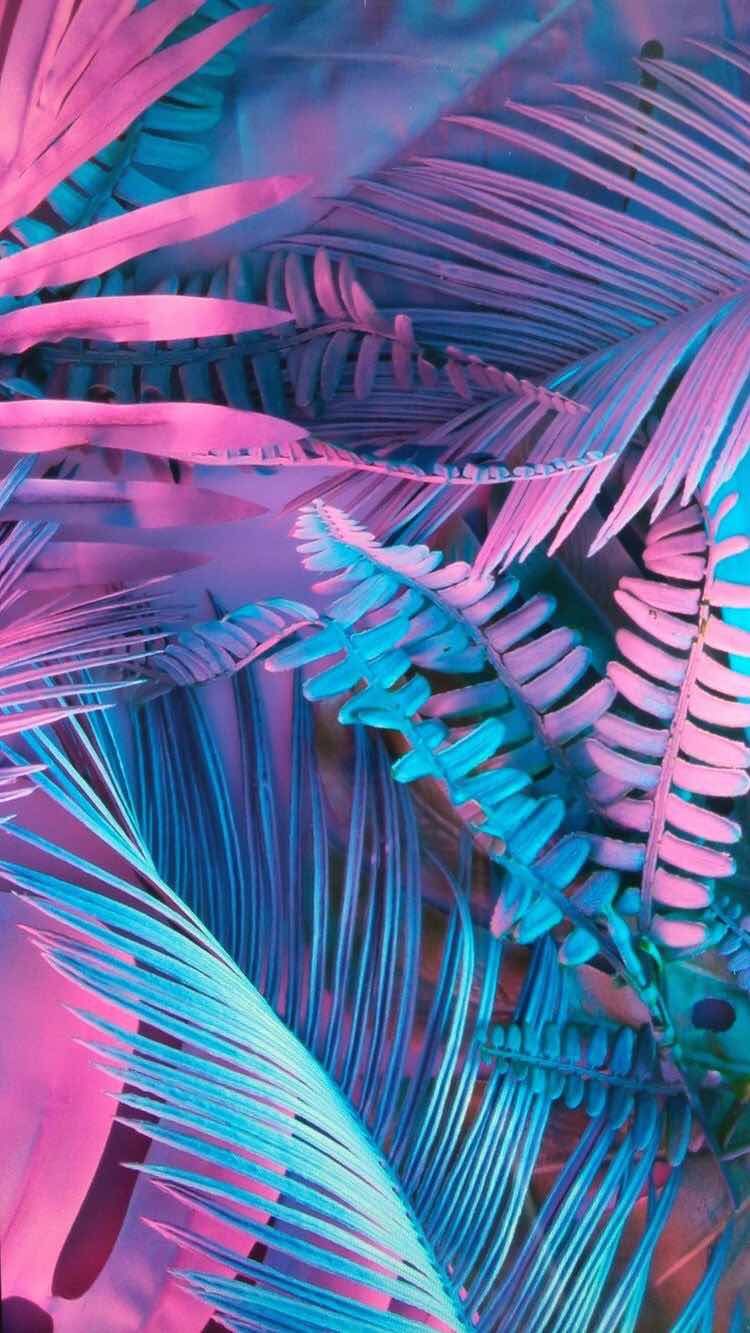 Pastel Iphone 11 Wallpapers