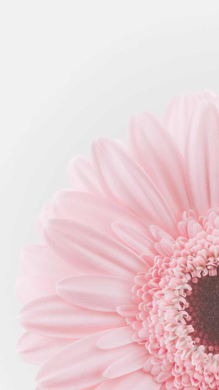 Pastel Iphone Wallpapers